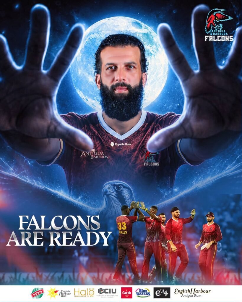 Falcons: The End in Sight
